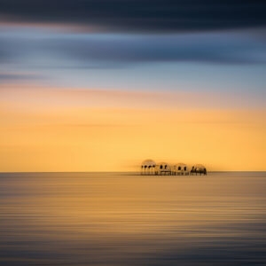 Ghosts of the Gulf